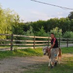 Pensiunea Acasa in Bucovina