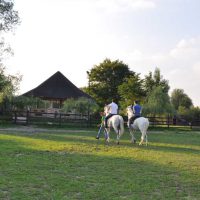 Pensiunea Acasa in Bucovina